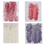 20x50pcs Beautiful Pressed Rose Flower Dried Flowers for Art Craft Scrapbooking