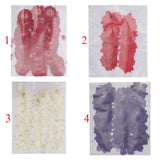 20x50pcs Beautiful Pressed Rose Flower Dried Flowers for Art Craft Scrapbooking