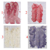 Maxbell 50x None Branch +50 Pcs Branched Pressed Dried Flowers DIY Embossed Flowers