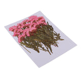 Maxbell 50x None Branch +50 Pcs Branched Pressed Dried Flowers DIY Embossed Flowers