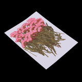 Maxbell 50x None Branch +50 Pcs Branched Pressed Dried Flowers DIY Embossed Flowers