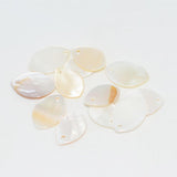 Maxbell 24 Pieces Natural Shell Charm Beads Jewelry Findings Accessories
