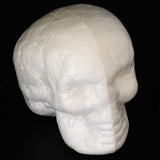 Maxbell 20pcs 55mm Halloween Skull Polystyrene Foam Oraments DIY Handmade Materials