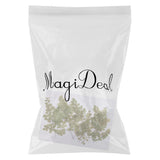 Maxbell 10 Pieces Natural Pressed Dried Flower Adiantum for DIY Arts Crafts Scrapbooking - Aladdin Shoppers