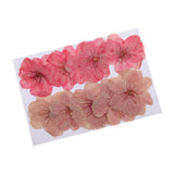 Maxbell 3x10pcs Mixed Color Pressed Dried Sakura Flowers Cherry Blossom for Art Craft