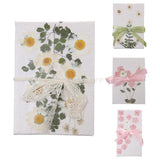 Maxbell 22 Pieces Natural Delphinium Rose Real Pressed Dried Flowers for DIY Craft