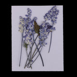 Maxbell 16 Pieces Assorted Natural Pressed Dried Flowers DIY Scrapbooking Art Crafts
