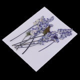 Maxbell 16 Pieces Assorted Natural Pressed Dried Flowers DIY Scrapbooking Art Crafts