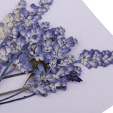 Maxbell 16 Pieces Assorted Natural Pressed Dried Flowers DIY Scrapbooking Art Crafts
