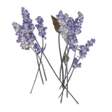 Maxbell 16 Pieces Assorted Natural Pressed Dried Flowers DIY Scrapbooking Art Crafts