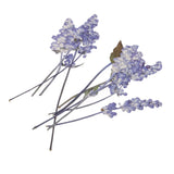 Maxbell 16 Pieces Assorted Natural Pressed Dried Flowers DIY Scrapbooking Art Crafts