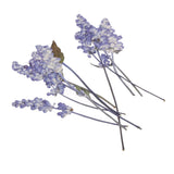 Maxbell 16 Pieces Assorted Natural Pressed Dried Flowers DIY Scrapbooking Art Crafts