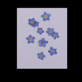 Maxbell 22 Pieces Forget-me-not Verbena Real Pressed Dried Flowers for Nail Art