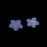 Maxbell 22 Pieces Forget-me-not Verbena Real Pressed Dried Flowers for Nail Art