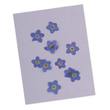 Maxbell 22 Pieces Forget-me-not Verbena Real Pressed Dried Flowers for Nail Art