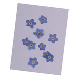 Maxbell 22 Pieces Forget-me-not Verbena Real Pressed Dried Flowers for Nail Art