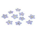Maxbell 22 Pieces Forget-me-not Verbena Real Pressed Dried Flowers for Nail Art