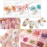 Maxbell 22 Pieces Forget-me-not Verbena Real Pressed Dried Flowers for Nail Art