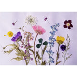 Maxbell 22 Pieces Natural Delphinium Rose Real Pressed Dried Flowers for DIY Craft