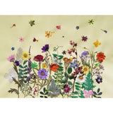 Maxbell 22 Pieces Natural Delphinium Rose Real Pressed Dried Flowers for DIY Craft