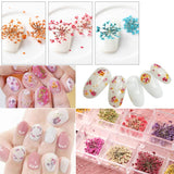 Maxbell 22 Pieces Natural Delphinium Rose Real Pressed Dried Flowers for DIY Craft