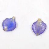 Maxbell 22 Pieces Natural Delphinium Rose Real Pressed Dried Flowers for DIY Craft