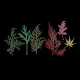 Maxbell 54pcs Natural Pressed Dried Flowers and Leaves Art Craft Supplies Decors