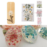 Maxbell 54pcs Natural Pressed Dried Flowers and Leaves Art Craft Supplies Decors
