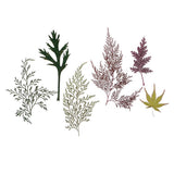 Maxbell 54pcs Natural Pressed Dried Flowers and Leaves Art Craft Supplies Decors