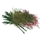 Maxbell 54pcs Natural Pressed Dried Flowers and Leaves Art Craft Supplies Decors