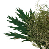 Maxbell 54pcs Natural Pressed Dried Flowers and Leaves Art Craft Supplies Decors