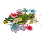 Maxbell 54pcs Natural Pressed Dried Flowers and Leaves Art Craft Supplies Decors
