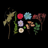 Maxbell 54pcs Natural Pressed Dried Flowers and Leaves Art Craft Supplies Decors