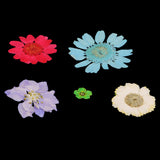Maxbell 54pcs Natural Pressed Dried Flowers and Leaves Art Craft Supplies Decors