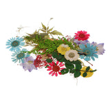 Maxbell 54pcs Natural Pressed Dried Flowers and Leaves Art Craft Supplies Decors