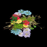Maxbell 54pcs Natural Pressed Dried Flowers and Leaves Art Craft Supplies Decors