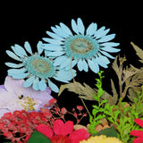 Maxbell 54pcs Natural Pressed Dried Flowers and Leaves Art Craft Supplies Decors