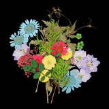 Maxbell 54pcs Natural Pressed Dried Flowers and Leaves Art Craft Supplies Decors