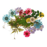 Maxbell 54pcs Natural Pressed Dried Flowers and Leaves Art Craft Supplies Decors