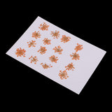 Maxbell 16x None Branch +10 Pcs Branched Pressed Dried Flowers DIY Embossed Flower