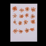 Maxbell 16 Pcs Dried  Pressed Dried Flowers+30 Pcs Real Natural Small Pine Cones