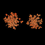 Maxbell 16x None Branch +10 Pcs Branched Pressed Dried Flowers DIY Embossed Flower