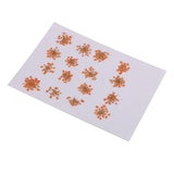 Maxbell 16 Pcs Dried  Pressed Dried Flowers+30 Pcs Real Natural Small Pine Cones