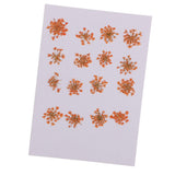 Maxbell 16x None Branch +10 Pcs Branched Pressed Dried Flowers DIY Embossed Flower