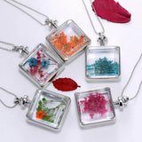 Maxbell 16x None Branch +10 Pcs Branched Pressed Dried Flowers DIY Embossed Flower