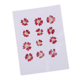 Maxbell 22 Pieces Forget-me-not Verbena Real Pressed Dried Flowers for Nail Art