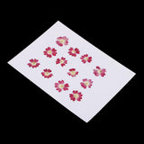 Maxbell 22 Pieces Forget-me-not Verbena Real Pressed Dried Flowers for Nail Art