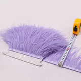 Maxbell 2 Pieces  Dyed Ostrich Feather Fringe Trim Ribbon Embellishment Light