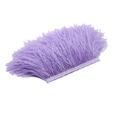 Maxbell 2 Pieces  Dyed Ostrich Feather Fringe Trim Ribbon Embellishment Light