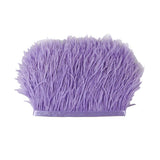 Maxbell 2 Pieces  Dyed Ostrich Feather Fringe Trim Ribbon Embellishment Light